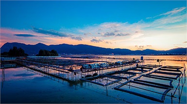 湖南省沅江市福利漁網加工廠免費為用戶提供技術支持