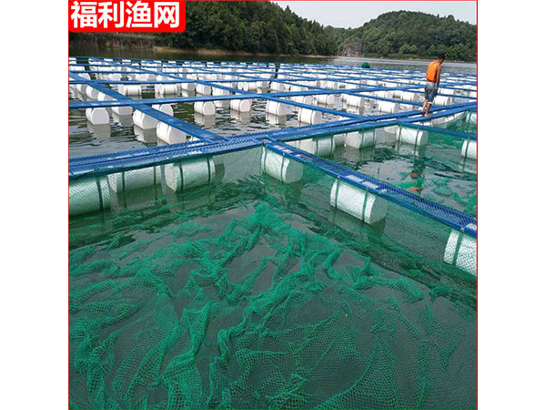 養魚網箱鋼結構平臺5