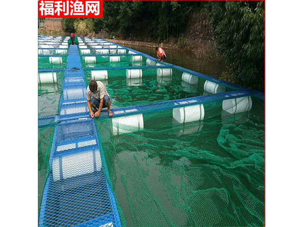 養魚網箱鋼結構平臺3