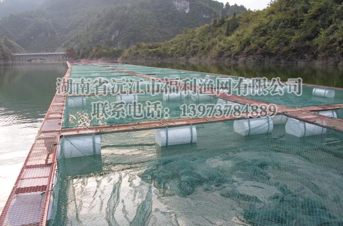 網箱養魚平臺設計建設
